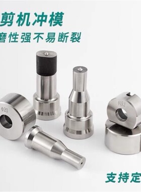 Q35Y联合冲剪机冲头冲床模具液压冲孔冲压模具方孔冲孔机腰孔冲模