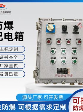 定做EX不锈钢防爆配电箱控制柜变频器电柜仪表箱照明触摸屏接线箱