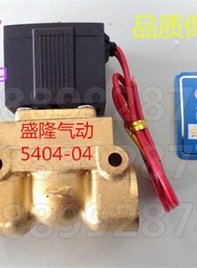 slgpc 电磁阀 5404-04 高温高压电磁阀5404-06  08 AC220V