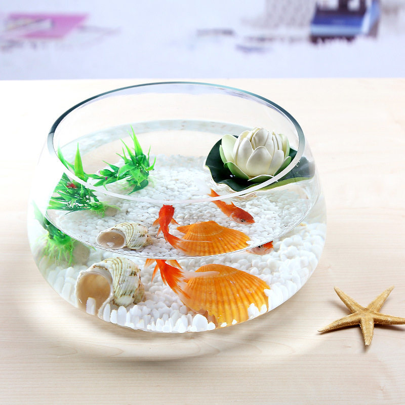 水养盆栽器皿创意水培插花玻璃花瓶绿植容器大口径大肚缸透明养花