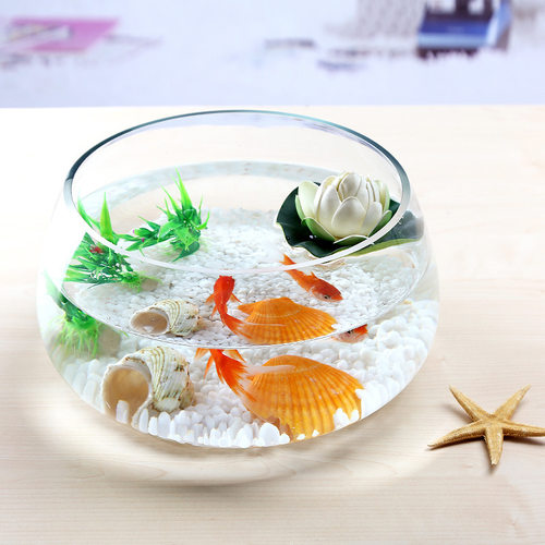 水养盆栽器皿创意水培插花玻璃花瓶绿植容器大口径大肚缸透明养花