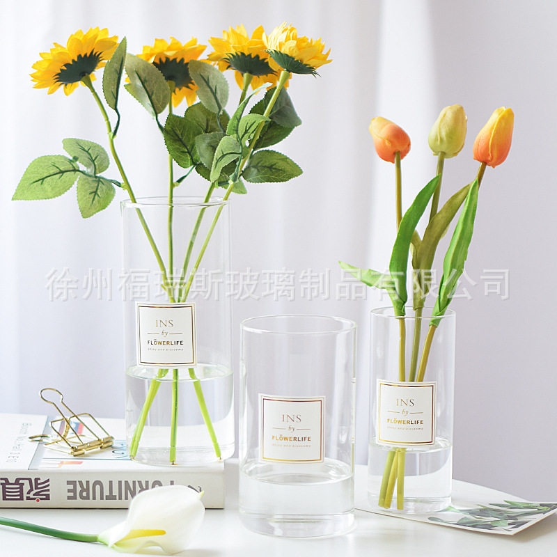 直筒玻璃花瓶简约现代高硼硅透明水培插鲜花水养绿植家居装饰摆件