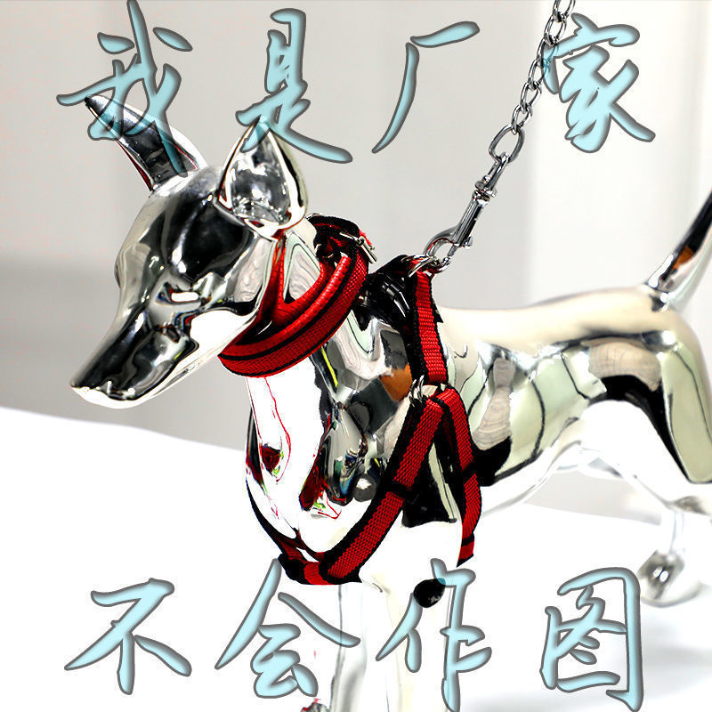 防咬狗牵引 铁链子狗绳加泡棉防勒手小中大型犬链条金属狗链子