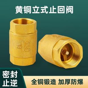 止回阀4分6分内丝加厚自来水管道防反水逆止阀弹簧单向阀 全铜立式