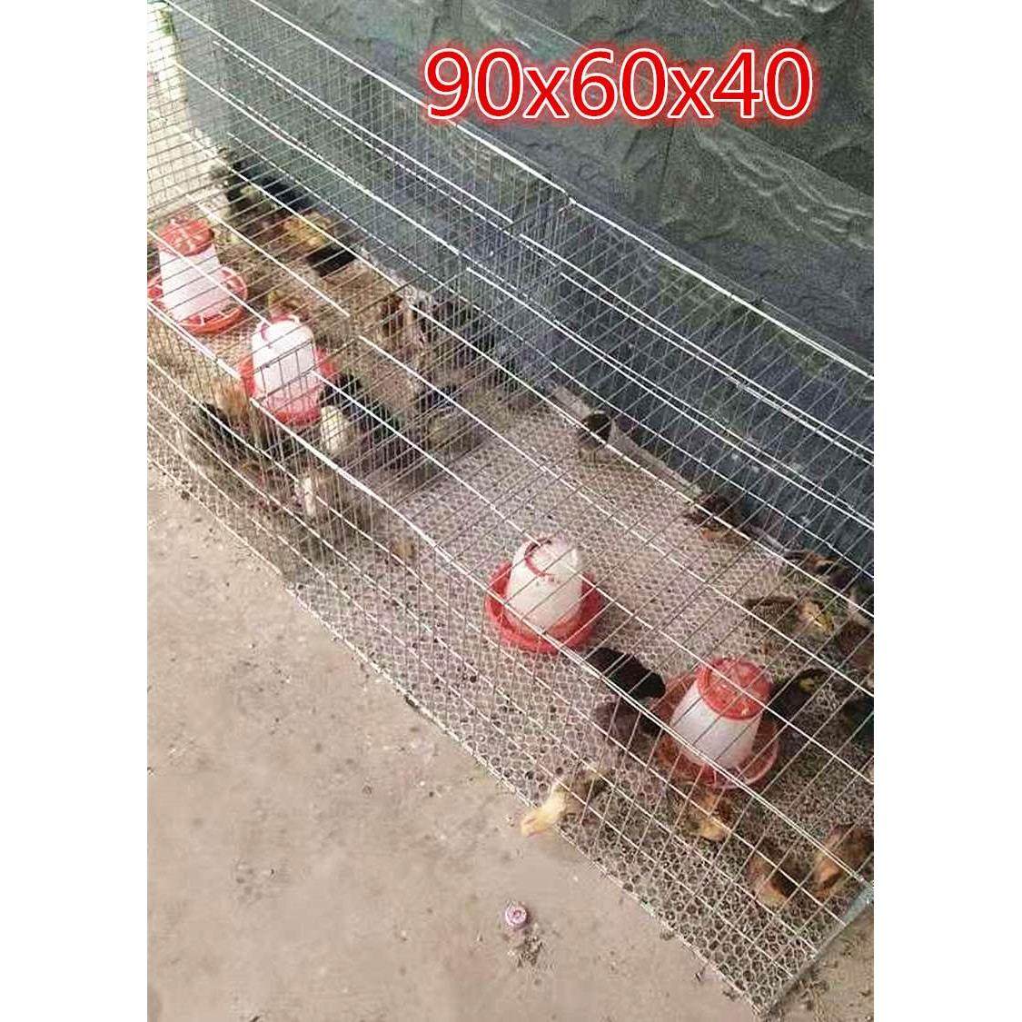 鸡笼 鸡笼子养鸡笼竹鸡笼家用大号笼育养殖雏鸡笼田鸡笼兔笼新品