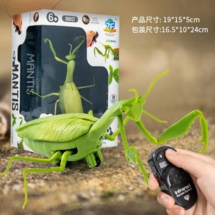 遥控螳螂电动仿真玩具整蛊蟑螂男孩会动的蜘蛛爬行小动物