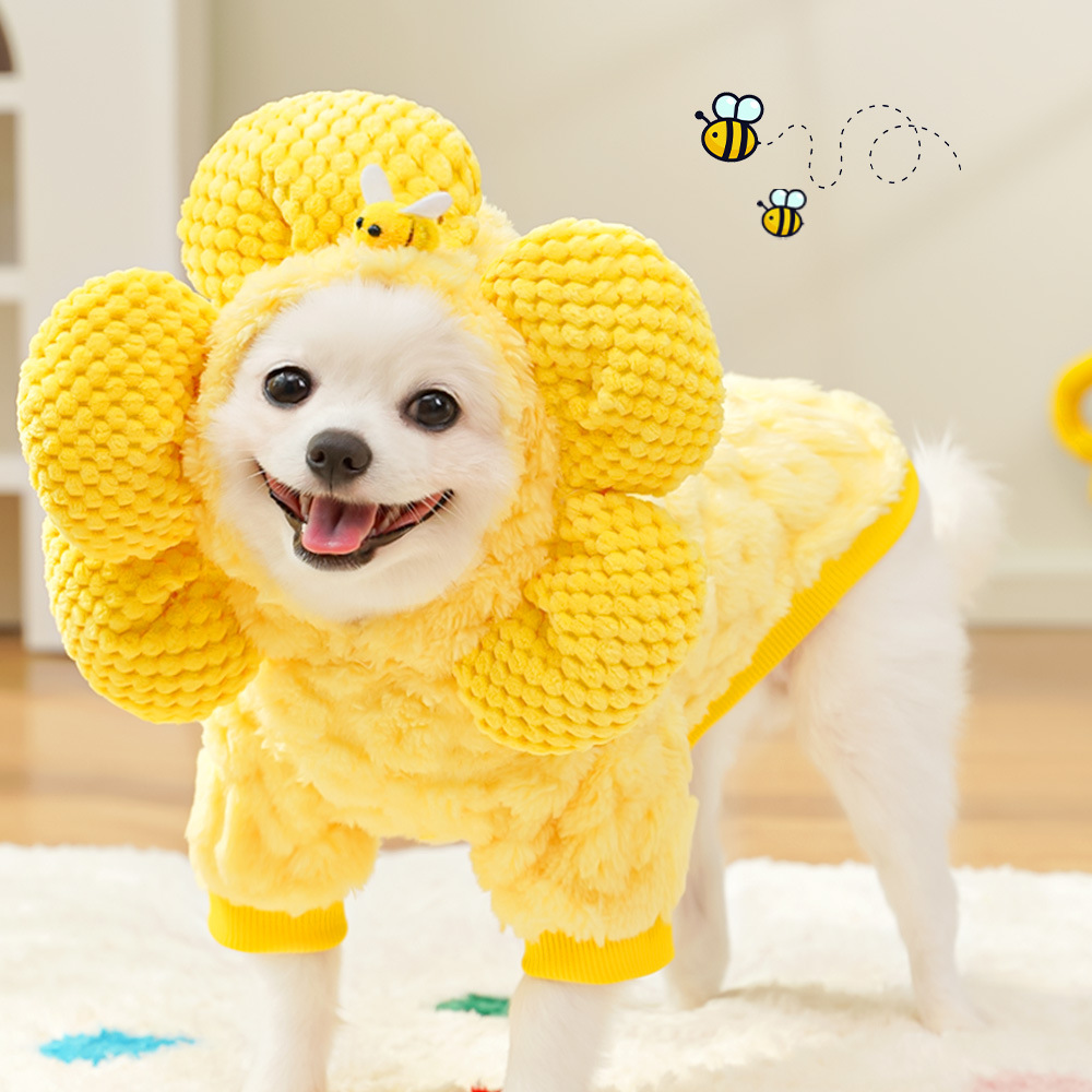 宠物秋冬衣服用品新品太阳花帽子