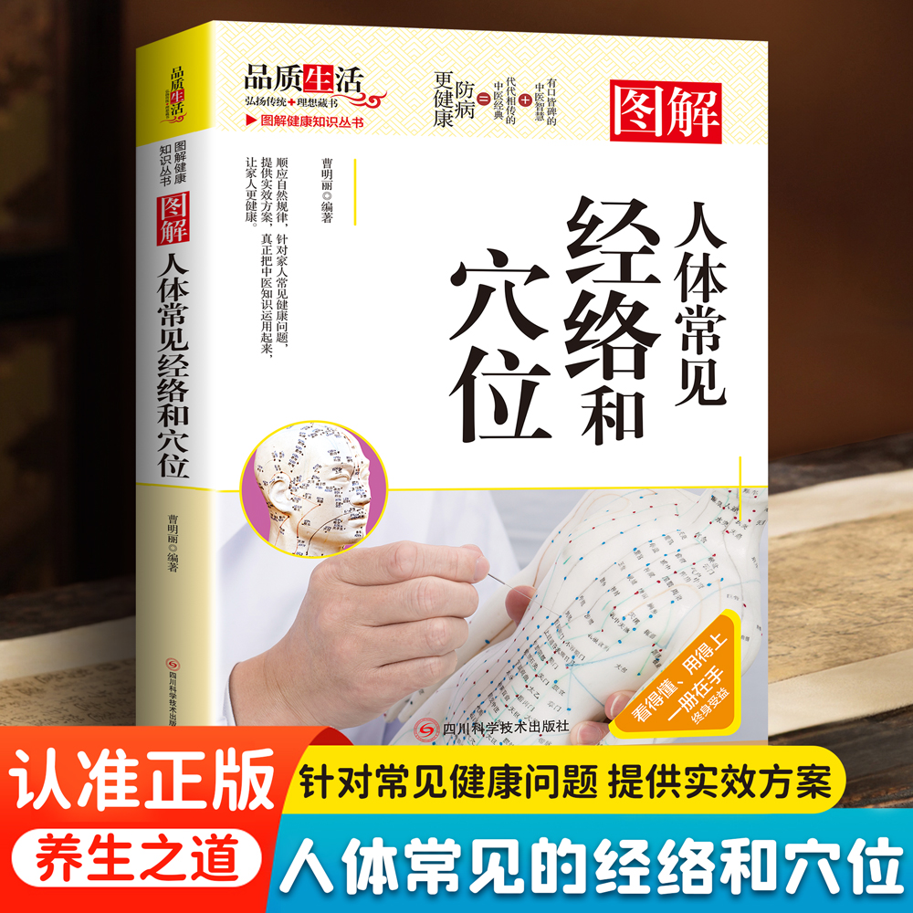 正版图解人体常见经络和穴位 彩图精讲家庭养生保健中医脉象穴位