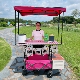 摆摊小推车遮阳棚可升降桌子露营车折叠出摊户外营地车夜市摊位车