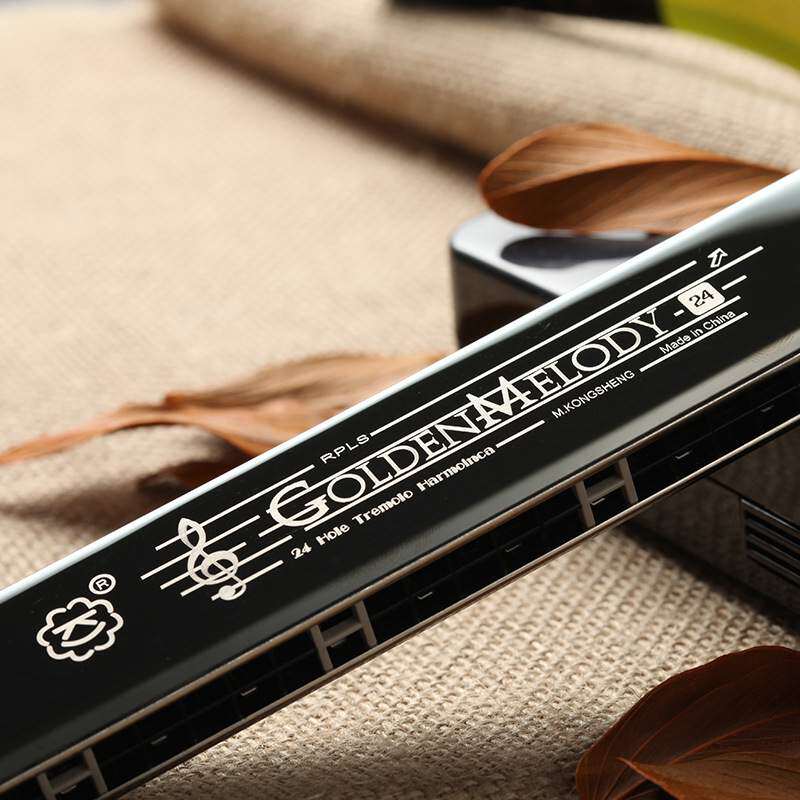 孔声24孔黑色复音口琴 KS-2403GM成人演奏初学练习乐器口琴