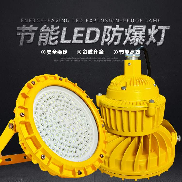 车间免维护照明隔爆型圆形LED防爆灯50W100W150W防爆泛光灯投光灯