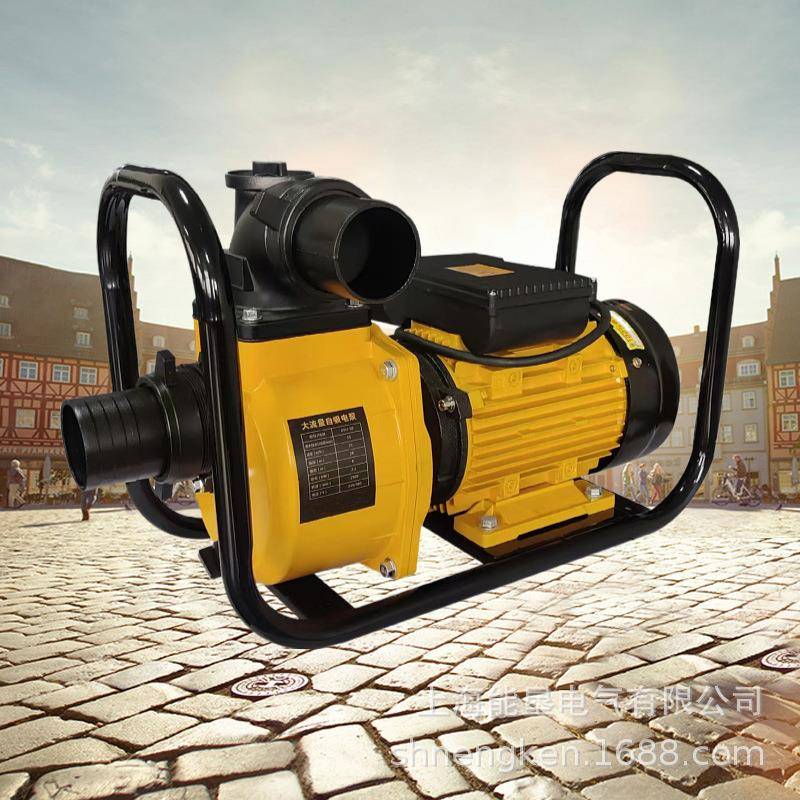 农田灌溉水泵DSU-80家用全自动力自3吸水泵高压抽用电220V80V大吸