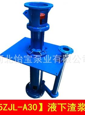 65ZL-A38100液下渣浆泵直连立式渣浆泵扫地泵地坑泥浆细J沙泵