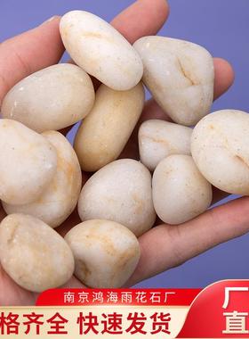 普抛白色卵石工雨花石普路光普抛A鹅级抛光园林景观238程铺石