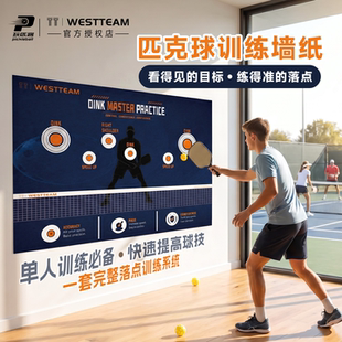 TT-WESTTEAM/维斯蒂姆匹克球丁克训练专用墙纸提升手感练习命中率