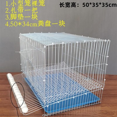 速发自制鹌鹑笼围网自制镀锌养殖滚蛋鹌鹑家庭小鸡鸟类鹧鸪鸽子下