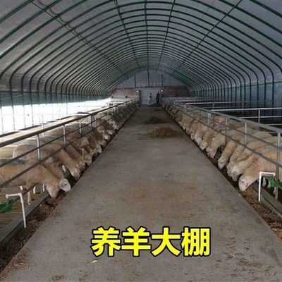 大棚钢管骨架养殖鸡鸭鹅猪牛羊大棚配I用全套种植家用温室大棚
