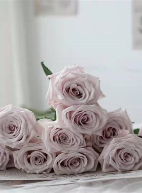 曼塔玫瑰花云南鲜花n基地直发昆明斗南市场直批空运水养花灰色顺