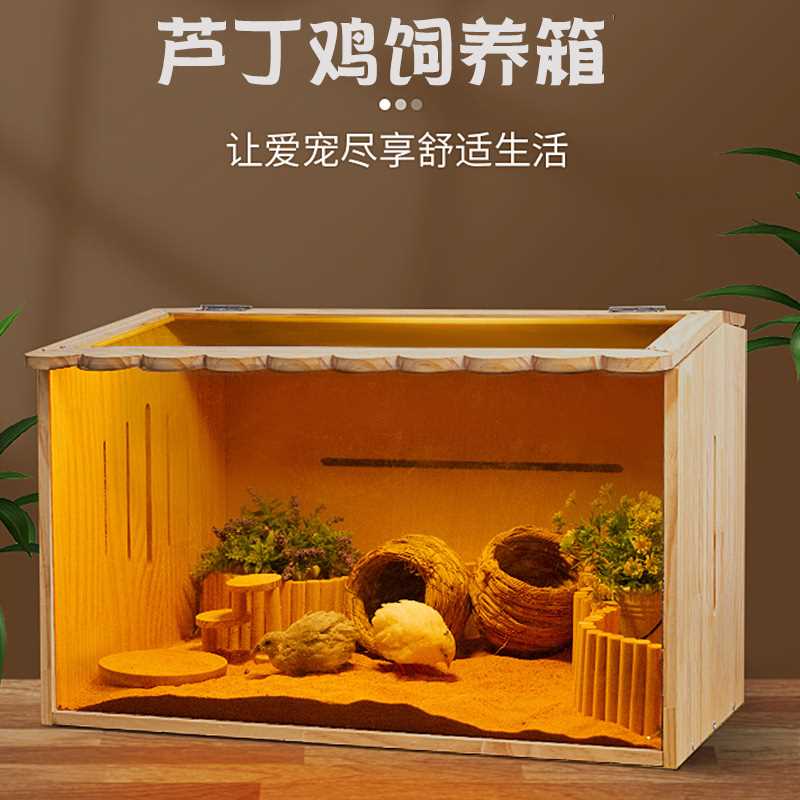 芦丁鸡饲养箱木质仓鼠笼子小鸡箱子宠物箱养金丝熊殖育雏保温箱