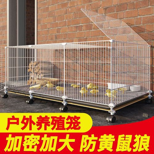 特大号芦丁鸡养殖笼室外农村鸡舍鸡鸭鹅兔笼家用大号加密小鸡笼子