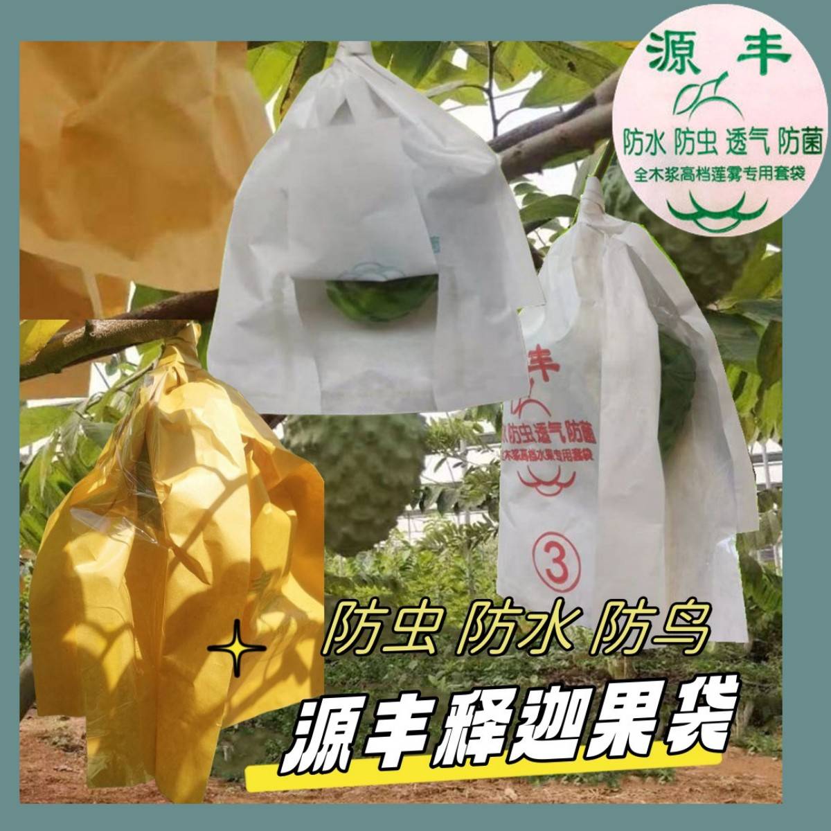 释迦果套袋专用袋莲雾袋水果套袋侧开可视金煌芒果套袋火龙果套袋