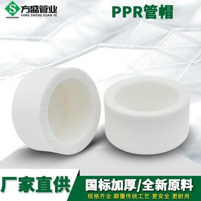 PPR水管管帽试压堵头闷头20 4分25 6分32 1寸ppr水管管件配件