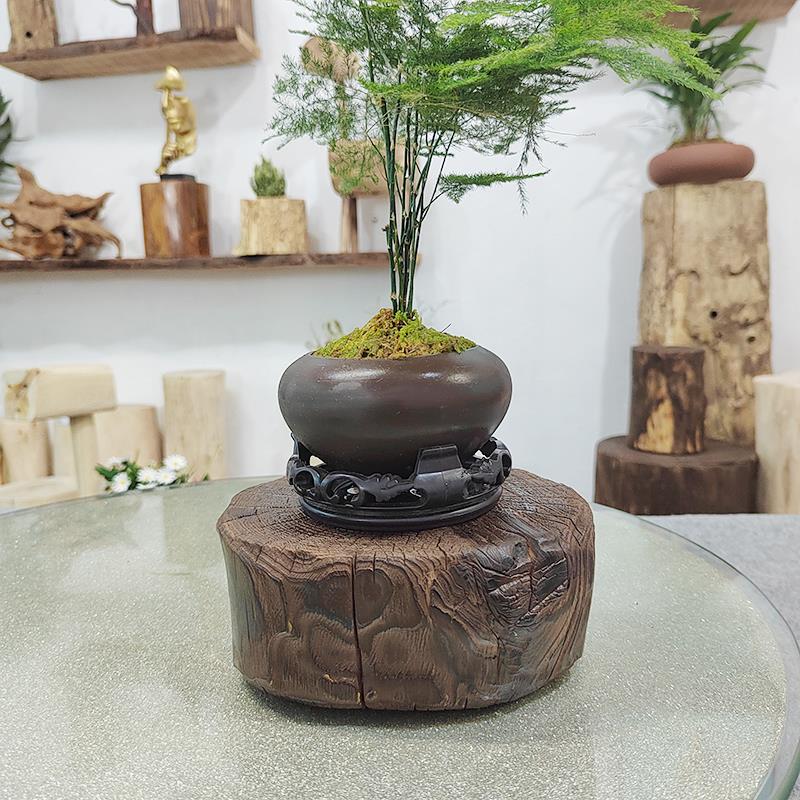 实木底座茶承复古木墩树桩摆件奇石盆景隔热底托木杯垫诧寂风民宿