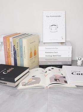 25CM儿童房装饰真书儿童样板间娱乐区道具书软装卡通猫插画装饰书