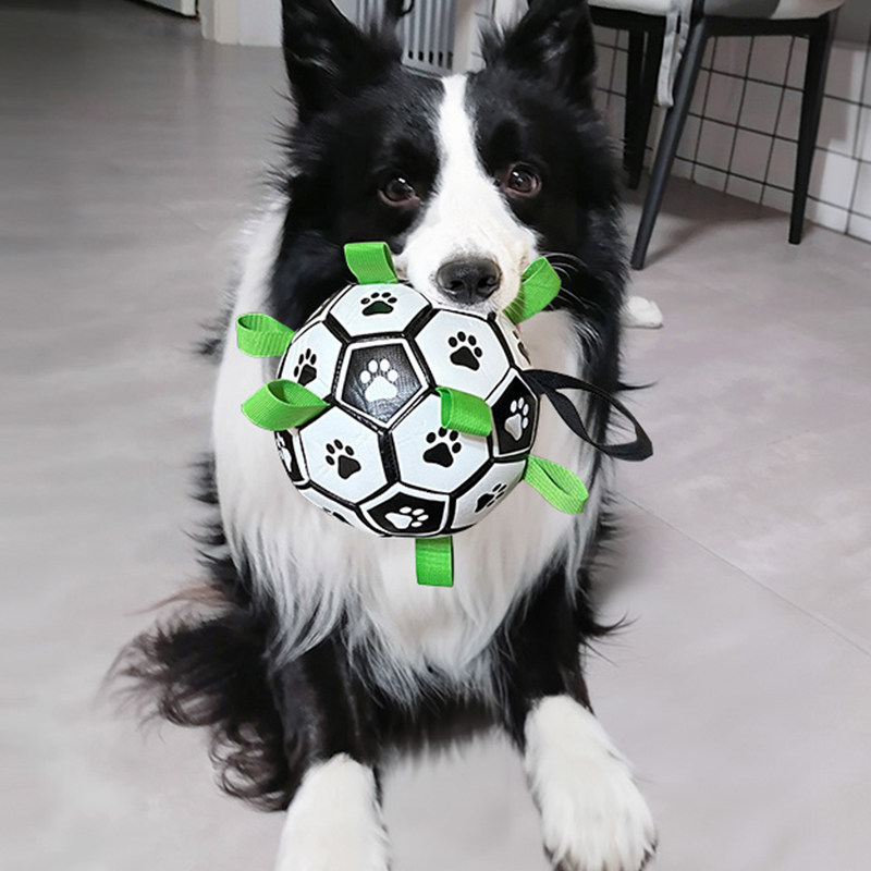 速发玩具球多咬磨牙牧边拉布拉耐马犬柯基狗咬铃铛球足球用品