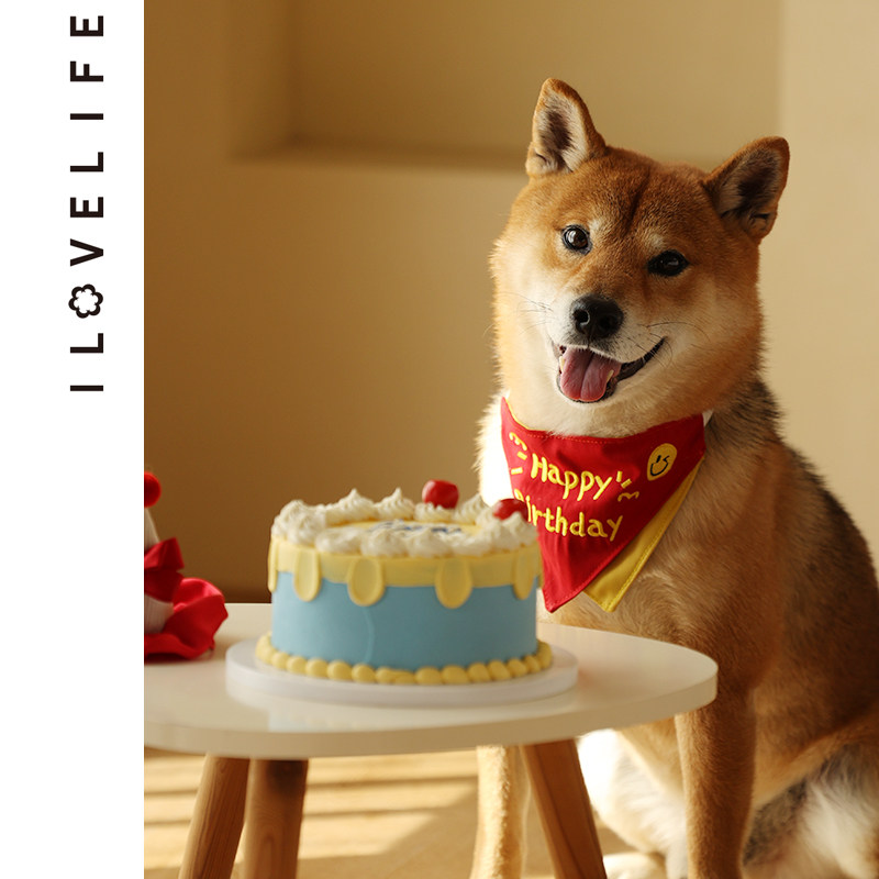 速发饰咪围兜口水巾三角巾配爱装猫品项圈猫生日可饰