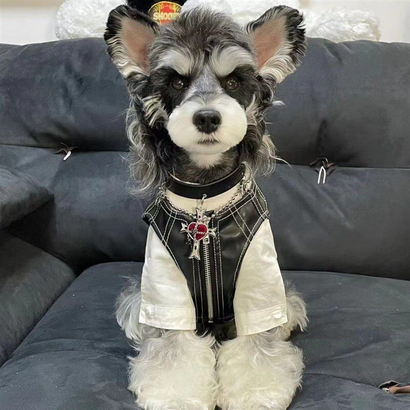 速发衣服潮酷机车地套马甲夹克雪纳瑞马迪柴犬比熊西高外泰尔