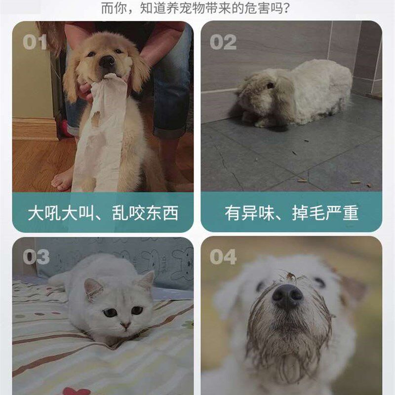 现货速发迷你小鸡萌宠快乐儿童男孩盒子玩具养成屋