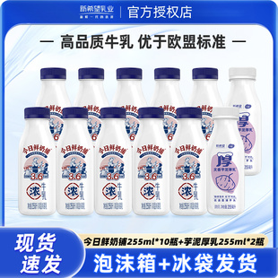 新希望今日鲜奶铺牛乳255ml*10+芋泥厚乳255ml*2瓶装低温早餐奶