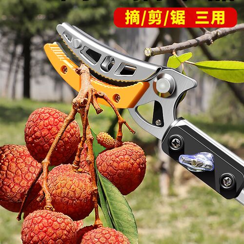 摘水果神器采摘荔枝龙眼杨梅高枝剪伸缩杆高空枝剪专用剪刀采果子