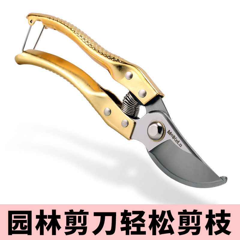 修枝剪园艺剪刀剪树枝专用园林修剪果树修枝花艺修花剪剪枝剪粗枝图片