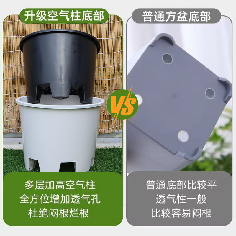 特大号蓝莓塑料花盆圆形青山侧排孔控根盆加厚绿植花卉呼吸种植盆