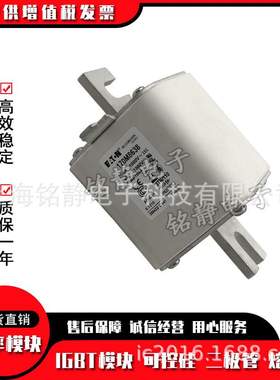 170M8623 170M8624 170M8625 170M8626巴斯曼熔断器现货170M8627