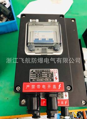 BF28159-SDQ防爆防腐动力配电箱(电磁起动)