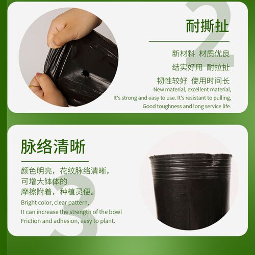 异型营养钵加高加厚苗木种植袋黑色塑料K育苗盆异形营养杯育苗杯