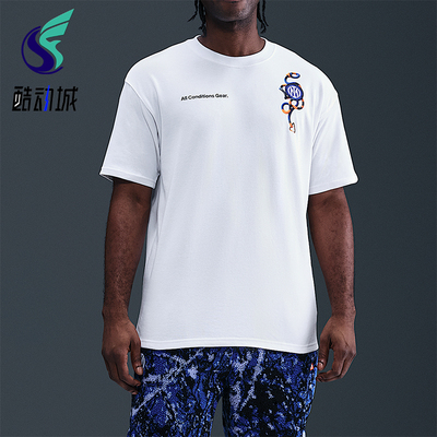 Nike/耐克正品男士新款亲肤透气圆领设计经典短袖T恤IF0513-100