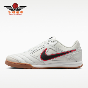 Nike/耐克正品四季款男士运动耐磨休闲低帮板鞋HQ6019-104