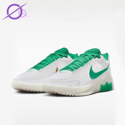Nike/耐克正品LEBRON WITNESS IX EP男士经典篮球鞋HQ8035-101