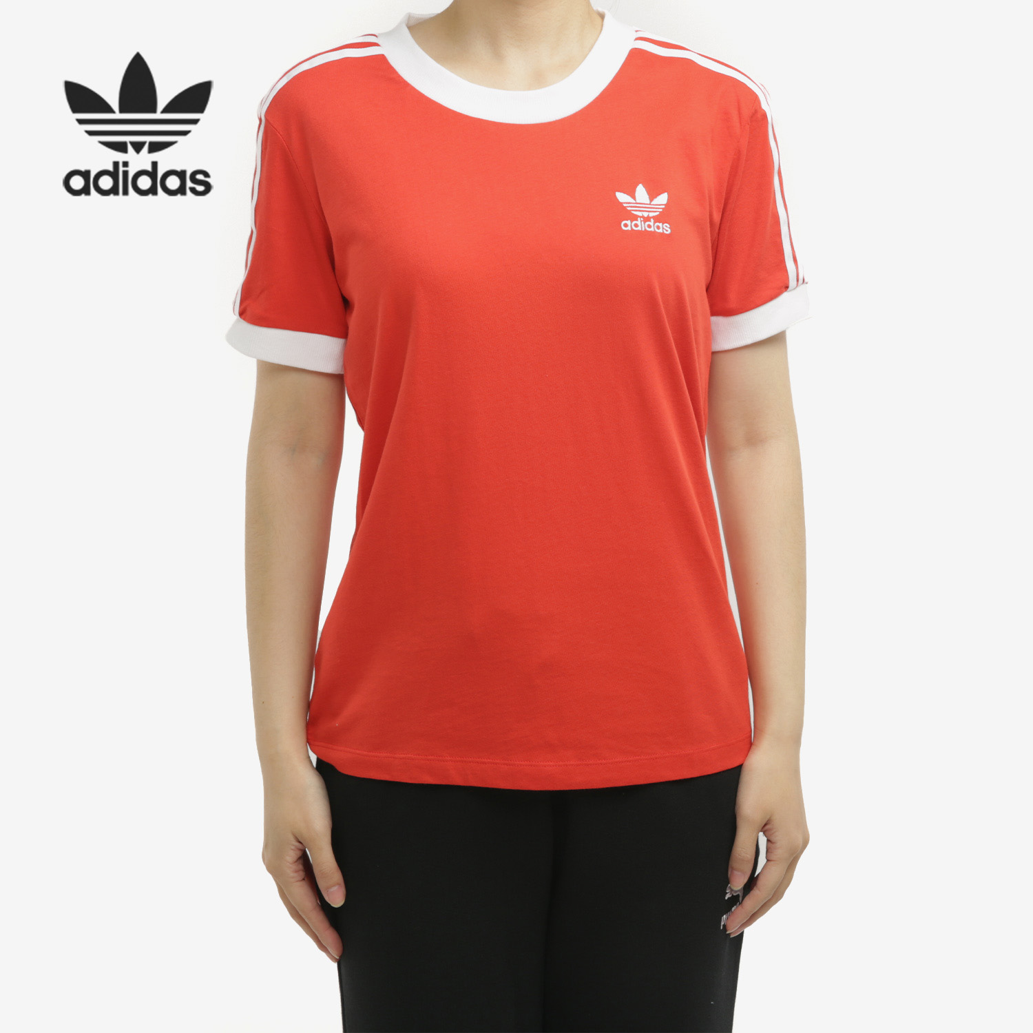 Adidas/阿迪达斯正品3-Stripes Tee三叶草女子休闲T恤 FM3318