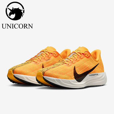 Nike/耐克正品Pegasus Plus男士耐磨网眼轻盈跑步鞋IH3258-700