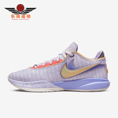 耐克正品 DJ5423 LeBron Violet Nike 篮球鞋 Frost男士 500