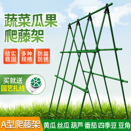 园艺爬藤架种菜架k黄瓜架子丝瓜架葡萄架植物大支架花架蔬菜攀爬