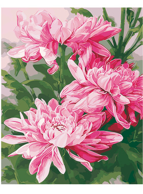 数字油画diy填充中国风国潮牡丹花手H工填色画画风景装饰画油彩画
