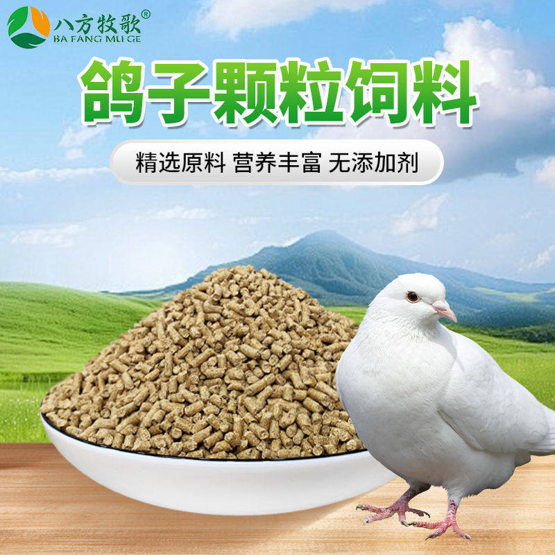 鸽子饲料蛋白高营养易吸收肉鸽信鸽赛鸽全价鸽粮鸟禽养殖饲养
