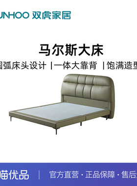 Sunhoo/双虎 ZQ-B2465软床 主卧科技布床轻奢现代双人床