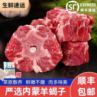 包邮 A新鲜多肉羊蝎子10斤羔羊羊脖骨羊脊骨冷冻火锅食材 顺丰